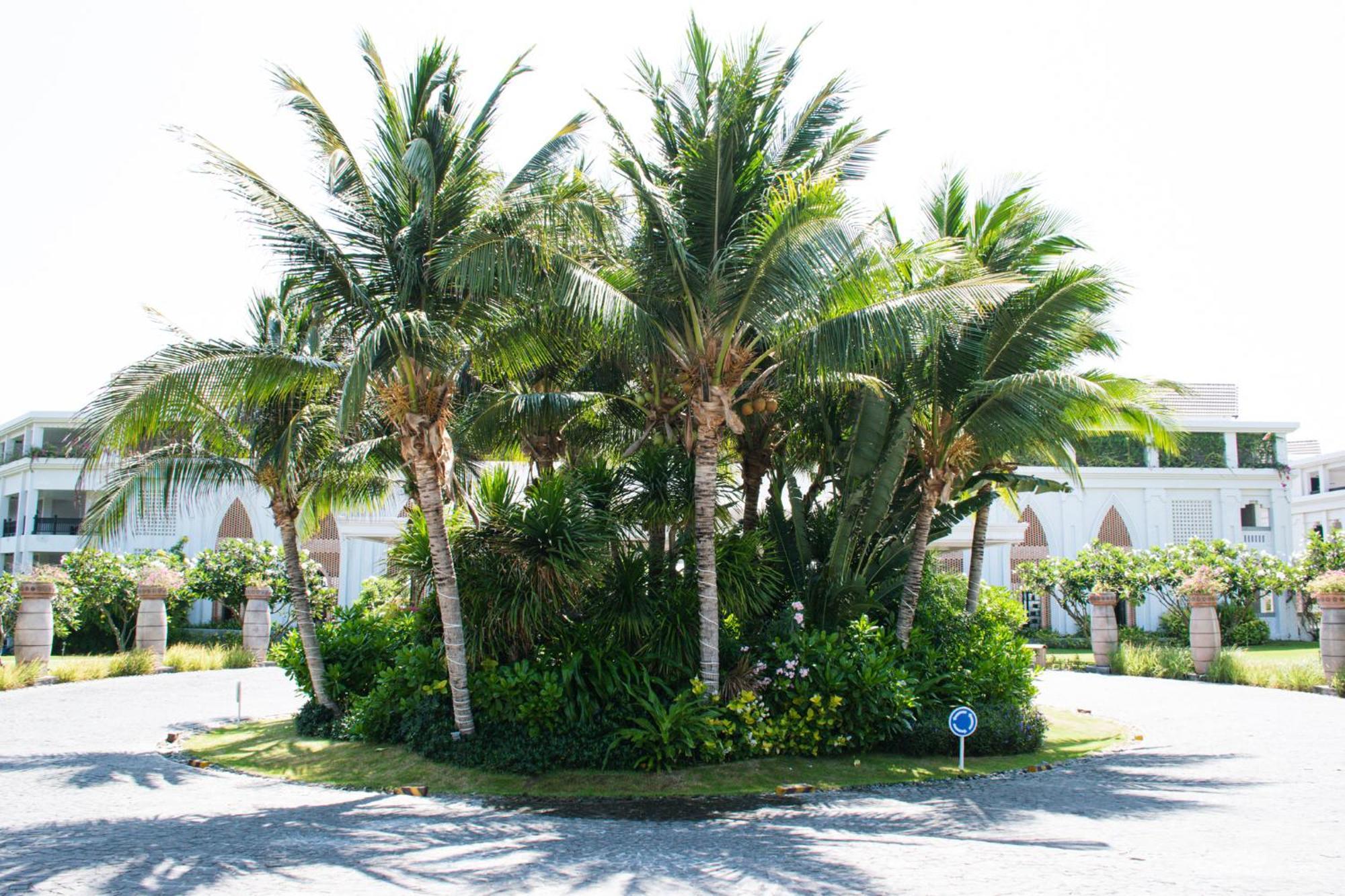 Muine Bay Resort Mũi Né Eksteriør bilde