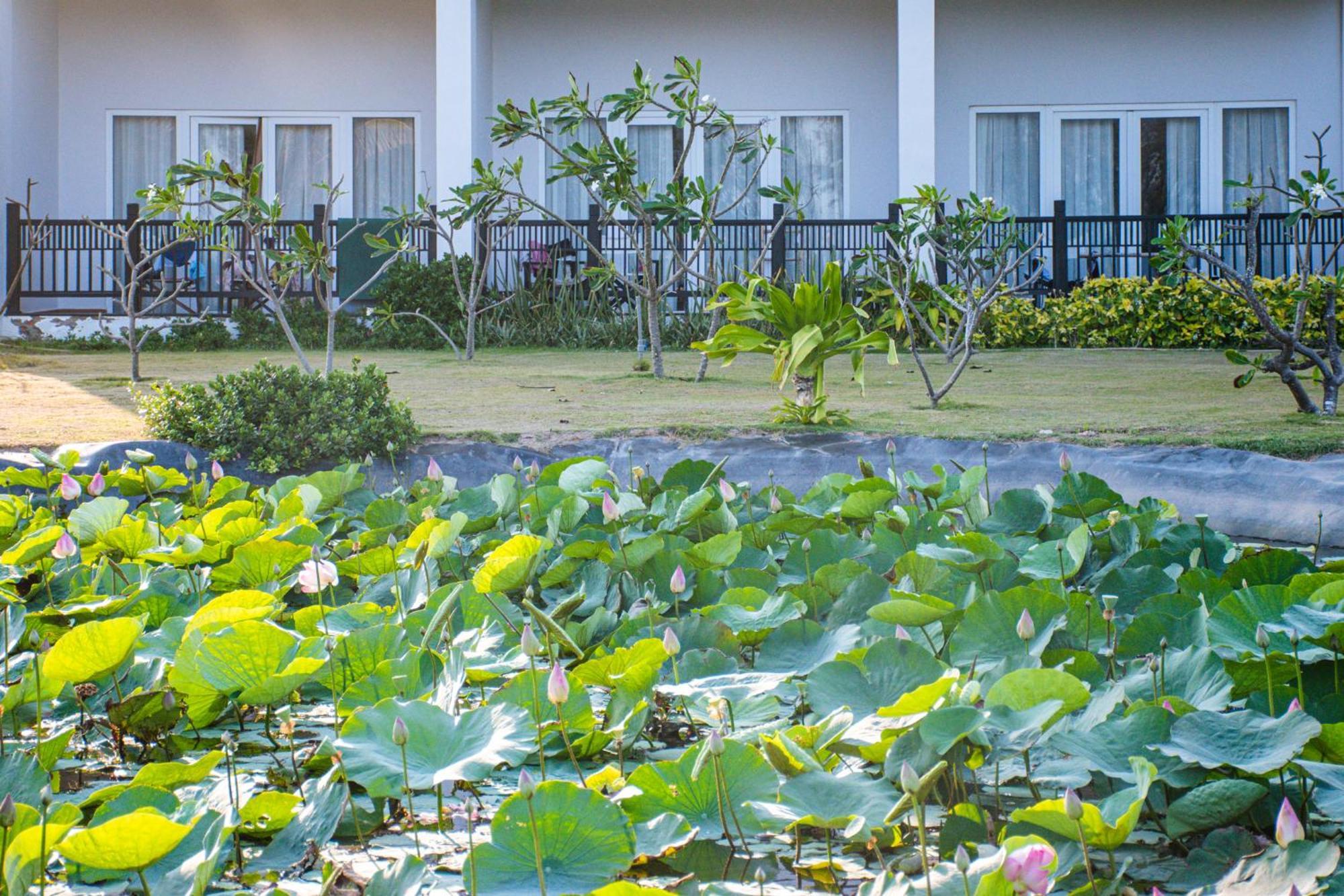 Muine Bay Resort Mũi Né Eksteriør bilde